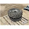 Image 1 : (1) AT25X10-12, (1) AT25X8-12 GARLISLE TIRES