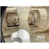 Image 8 : SQUARE WHITE POLY TANK