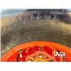 Image 17 : HAY BUSTER 256 S/A BALE BUSTER