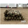 Image 5 : QTY OF 8 FT. FENCE POSTS