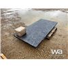 Image 3 : 10 TON PLATFORM SCALE