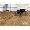 Image 2 : 2 SEATER DEMOCRAT CARRIAGE