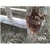 Image 10 : (UNUSED) QUEEN SIZE HAND MADE PINE BED FRAME