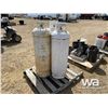 Image 1 : (3) 100 LB PROPANE TANKS