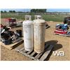Image 2 : (3) 100 LB PROPANE TANKS