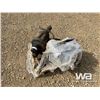 Image 1 : 3" TRUCK FLUID PUMP
