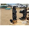 Image 2 : BLACK BEAR WOODEN CARVING