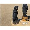 Image 2 : BLACK BEAR WOODEN CARVING