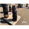 Image 3 : BLACK BEAR WOODEN CARVING