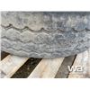 Image 6 : (2) LONGMARCH LM528 11R 24.5 TIRES & RIMS