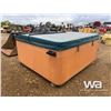 Image 1 : 2005 BEACHCOMBER 730 HOT TUB