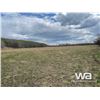 Image 8 : BC/PEACE RIVER DISTRICT SW 13-79-18-W6 FARMLAND