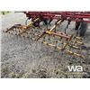 Image 10 : IHC 30 FT. FIELD CULTIVATOR