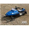 Image 1 : 2014 POLARIS INDY 120 KIDS SNOWMOBILE