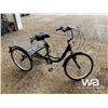 Image 2 : TRICYCLE BIKE WITH BASKET