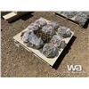 Image 1 : (10) 1/2" 25 FT. CHAINS