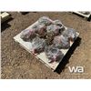 Image 1 : (10) 1/2" 25 FT. CHAINS