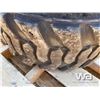 Image 4 : RIM GUARD 26 X 12.00-12 TIRES