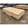 Image 3 : USED (23) SHEETS 3/4" PLYWOOD