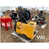 Image 2 : WAP DX 920 PRESSURE WASHER