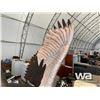 Image 11 : EAGLE WOOD CARVING