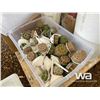 Image 14 : FLORIST SUPPLIES