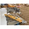 Image 2 : TIMBERWOLF CHAINSAW CARVING
