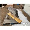 Image 4 : TIMBERWOLF CHAINSAW CARVING