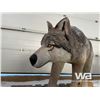 Image 5 : TIMBERWOLF CHAINSAW CARVING