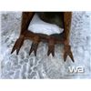 Image 5 : WBM EXCAVATOR DIGGING BUCKET