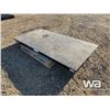 Image 1 : 10 TON PLATFORM SCALE
