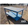Image 3 : CUSTOM BLUE STEEL HD WORK BENCH