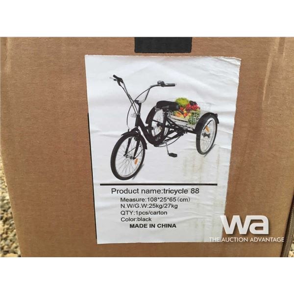TRICYCLE WITH BASKET