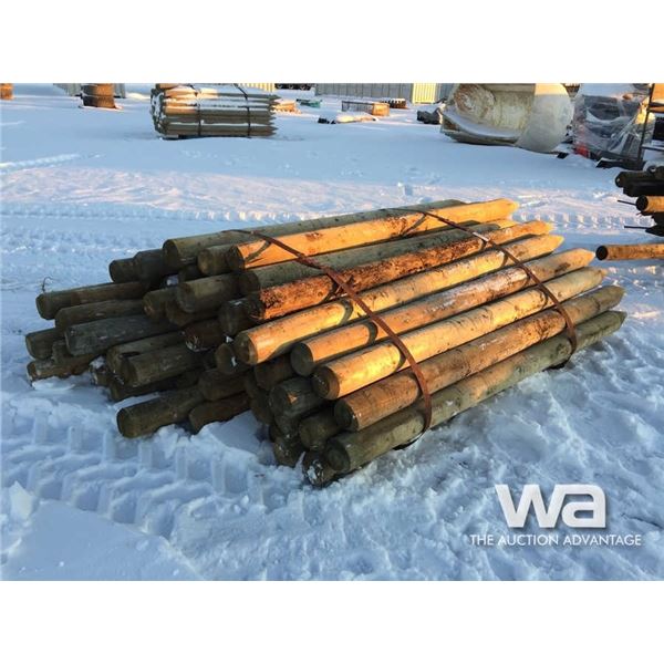 BUNDLE OF 6 FT. TREATED POSTS