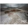 Image 4 : CHIEF WESTLAND 5 RING 18 FT. 3800 +/- BU GRAIN BIN