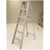 Image 1 : ESCABEAU ALUM. 6'