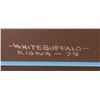 Image 7 : KIOWA PAINTING (WHITE BUFFALO)