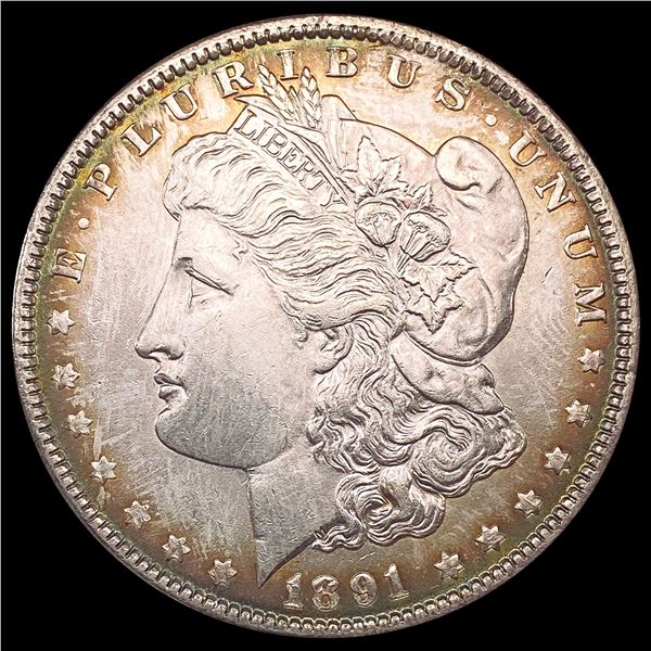 1891 Morgan Silver Dollar CLOSELY UNCIRCULATED