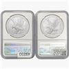 Image 2 : 2022 [2] Silver Eagle NGC MS70