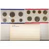 Image 1 : 1981 US MINT SET (UNC) P/D/S (WITH ENVELOPE)