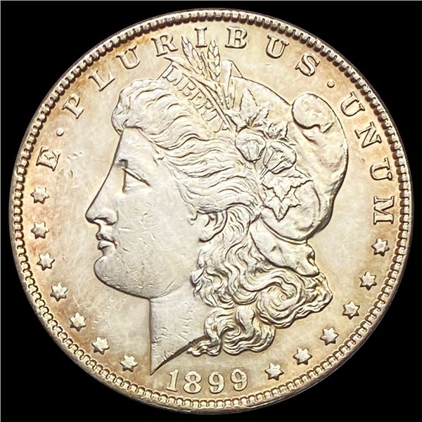 1899 Morgan Silver Dollar UNCIRCULATED