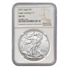Image 2 : [5] 2021 T2 Silver Eagle NGC MS70