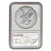 Image 9 : [5] 2021 T2 Silver Eagle NGC MS70