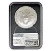 Image 11 : 2009-2020 US Silver Eagle Lot [5 Coins] NGC MS69/70