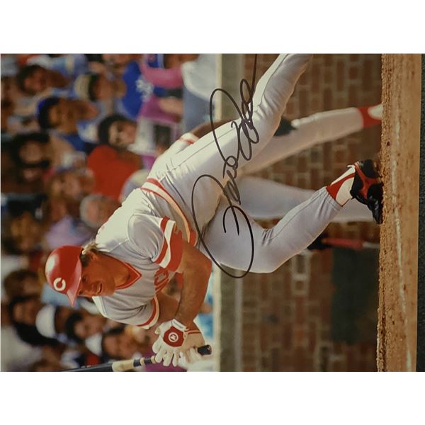 Cincinnati Reds Pete Rose signed photo