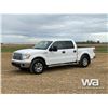Image 1 : 2011 FORD F-150 XLT CREW CAB PICKUP