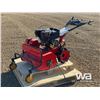 Image 1 : WALK BEHIND ROUGH CUT FLAIL MOWER