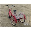 Image 4 : ELECTRIC TRICYCLE