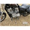 Image 16 : 2006 HARLEY DAVIDSON XL 883L MOTORCYCLE