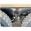 Image 48 : 2023 WESTERN STAR 49XD TRI DRIVE DUMP TRUCK
